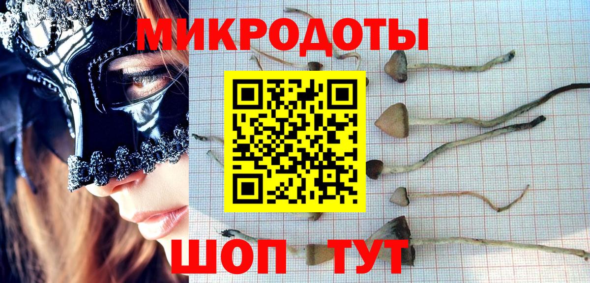 Галлюциногенные грибы Magic Shrooms Камышин