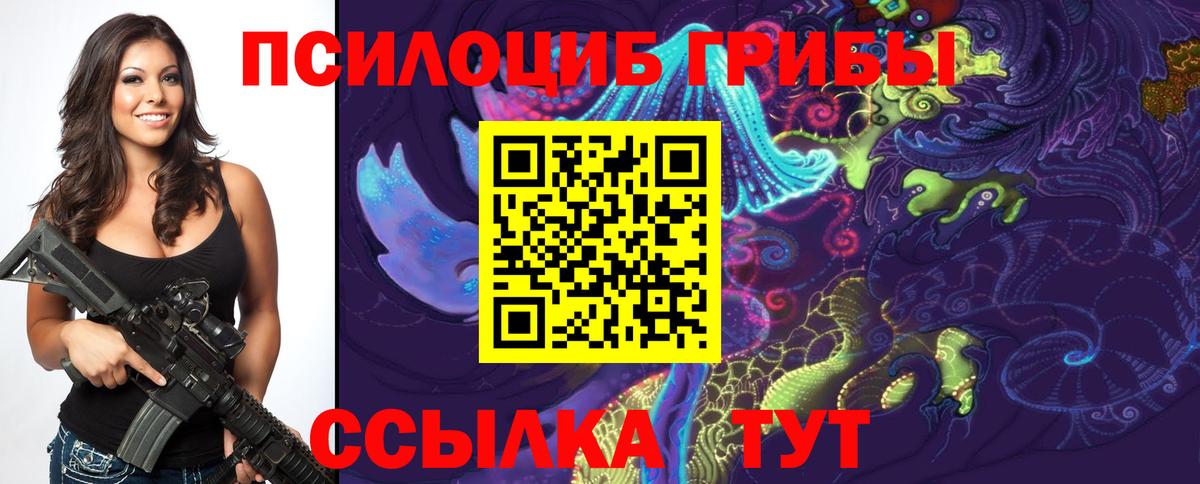 Камышин  Галлюциногенные грибы GOLDEN TEACHER  Вход с VPN 